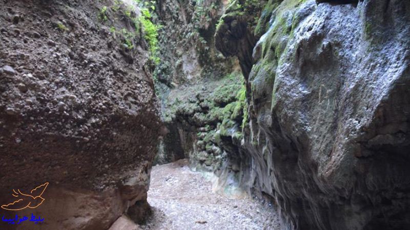 جاذبه های اطراف غار زینگان ایلام