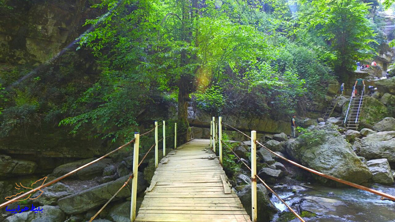 مسیر آبشار های شیرآباد در جنگل